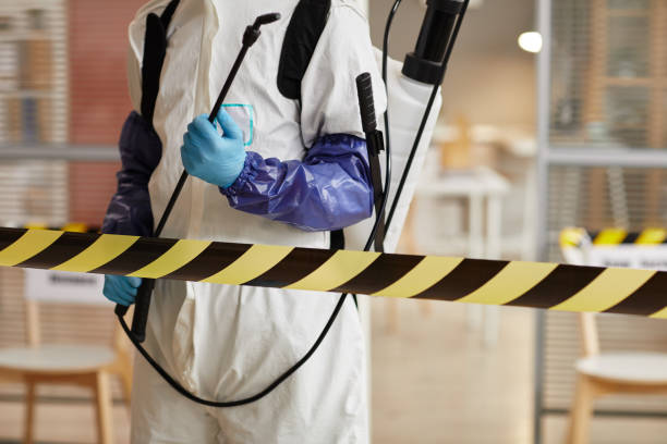Professional Hoarding Cleanup technician working in Elizabeth, CO